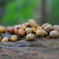 Enterprise Pop Up Tiger Nuts